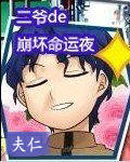 二爷的崩坏命运夜