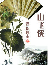 天山飞侠
