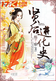 贤后进化史